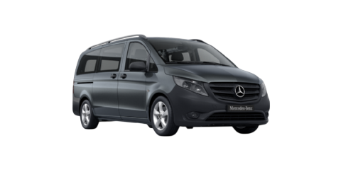 Private Minivan